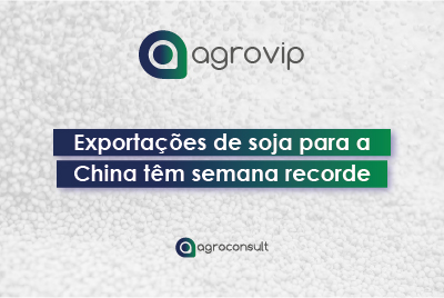 exportações soja