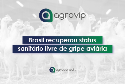 gripe aviária