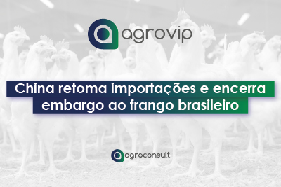 frango