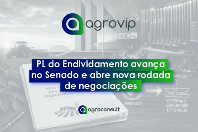 endividamento